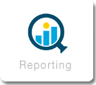 Reporting